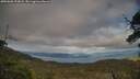 ./images/calvert/fitz-hugh-hecate/20250606/fitz-hugh-hecate20250606_192007M.jpg