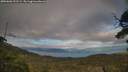 ./images/calvert/fitz-hugh-hecate/20250606/fitz-hugh-hecate20250606_192508M.jpg
