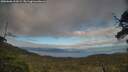 ./images/calvert/fitz-hugh-hecate/20250606/fitz-hugh-hecate20250606_193009M.jpg