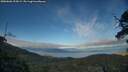 ./images/calvert/fitz-hugh-hecate/20250606/fitz-hugh-hecate20250606_195008M.jpg