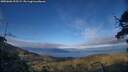 ./images/calvert/fitz-hugh-hecate/20250606/fitz-hugh-hecate20250606_195508M.jpg