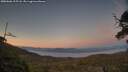 ./images/calvert/fitz-hugh-hecate/20250606/fitz-hugh-hecate20250606_215508M.jpg