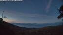 ./images/calvert/fitz-hugh-hecate/20250606/fitz-hugh-hecate20250606_223509M.jpg