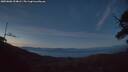 ./images/calvert/fitz-hugh-hecate/20250606/fitz-hugh-hecate20250606_224008M.jpg