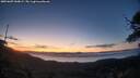 ./images/calvert/fitz-hugh-hecate/20250607/fitz-hugh-hecate20250607_044009M.jpg