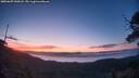 ./images/calvert/fitz-hugh-hecate/20250607/fitz-hugh-hecate20250607_045008M.jpg
