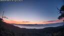 ./images/calvert/fitz-hugh-hecate/20250607/fitz-hugh-hecate20250607_050008M.jpg