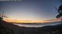 ./images/calvert/fitz-hugh-hecate/20250607/fitz-hugh-hecate20250607_051008M.jpg