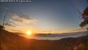 ./images/calvert/fitz-hugh-hecate/20250607/fitz-hugh-hecate20250607_053008M.jpg