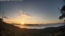 ./images/calvert/fitz-hugh-hecate/20250607/fitz-hugh-hecate20250607_054008M.jpg