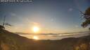 ./images/calvert/fitz-hugh-hecate/20250607/fitz-hugh-hecate20250607_060510M.jpg