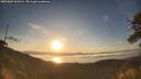 ./images/calvert/fitz-hugh-hecate/20250607/fitz-hugh-hecate20250607_061009M.jpg