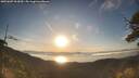 ./images/calvert/fitz-hugh-hecate/20250607/fitz-hugh-hecate20250607_063010M.jpg