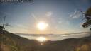 ./images/calvert/fitz-hugh-hecate/20250607/fitz-hugh-hecate20250607_064009M.jpg