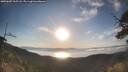 ./images/calvert/fitz-hugh-hecate/20250607/fitz-hugh-hecate20250607_065507M.jpg