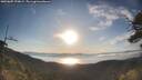 ./images/calvert/fitz-hugh-hecate/20250607/fitz-hugh-hecate20250607_070009M.jpg