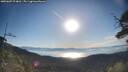 ./images/calvert/fitz-hugh-hecate/20250607/fitz-hugh-hecate20250607_074010M.jpg