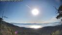 ./images/calvert/fitz-hugh-hecate/20250607/fitz-hugh-hecate20250607_074509M.jpg