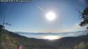 ./images/calvert/fitz-hugh-hecate/20250607/fitz-hugh-hecate20250607_075009M.jpg
