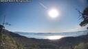 ./images/calvert/fitz-hugh-hecate/20250607/fitz-hugh-hecate20250607_081009M.jpg