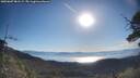 ./images/calvert/fitz-hugh-hecate/20250607/fitz-hugh-hecate20250607_081509M.jpg