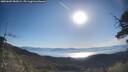 ./images/calvert/fitz-hugh-hecate/20250607/fitz-hugh-hecate20250607_082009M.jpg