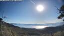 ./images/calvert/fitz-hugh-hecate/20250607/fitz-hugh-hecate20250607_082509M.jpg