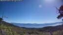 ./images/calvert/fitz-hugh-hecate/20250607/fitz-hugh-hecate20250607_103510M.jpg