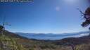 ./images/calvert/fitz-hugh-hecate/20250607/fitz-hugh-hecate20250607_104007M.jpg