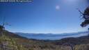 ./images/calvert/fitz-hugh-hecate/20250607/fitz-hugh-hecate20250607_105509M.jpg