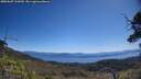 ./images/calvert/fitz-hugh-hecate/20250607/fitz-hugh-hecate20250607_110510M.jpg