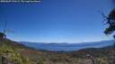 ./images/calvert/fitz-hugh-hecate/20250607/fitz-hugh-hecate20250607_121509M.jpg