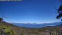 ./images/calvert/fitz-hugh-hecate/20250607/fitz-hugh-hecate20250607_142008M.jpg