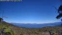 ./images/calvert/fitz-hugh-hecate/20250607/fitz-hugh-hecate20250607_150009M.jpg