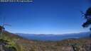./images/calvert/fitz-hugh-hecate/20250607/fitz-hugh-hecate20250607_152509M.jpg