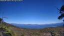 ./images/calvert/fitz-hugh-hecate/20250607/fitz-hugh-hecate20250607_153011M.jpg