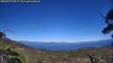 ./images/calvert/fitz-hugh-hecate/20250607/fitz-hugh-hecate20250607_154509M.jpg