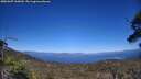 ./images/calvert/fitz-hugh-hecate/20250607/fitz-hugh-hecate20250607_165010M.jpg
