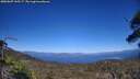 ./images/calvert/fitz-hugh-hecate/20250607/fitz-hugh-hecate20250607_165507M.jpg