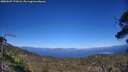 ./images/calvert/fitz-hugh-hecate/20250607/fitz-hugh-hecate20250607_171008M.jpg