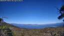 ./images/calvert/fitz-hugh-hecate/20250607/fitz-hugh-hecate20250607_173011M.jpg