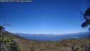 ./images/calvert/fitz-hugh-hecate/20250607/fitz-hugh-hecate20250607_173509M.jpg