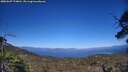 ./images/calvert/fitz-hugh-hecate/20250607/fitz-hugh-hecate20250607_174011M.jpg