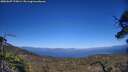 ./images/calvert/fitz-hugh-hecate/20250607/fitz-hugh-hecate20250607_175004M.jpg