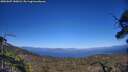 ./images/calvert/fitz-hugh-hecate/20250607/fitz-hugh-hecate20250607_180013M.jpg