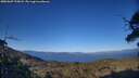 ./images/calvert/fitz-hugh-hecate/20250607/fitz-hugh-hecate20250607_195008M.jpg