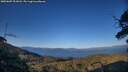 ./images/calvert/fitz-hugh-hecate/20250607/fitz-hugh-hecate20250607_201007M.jpg