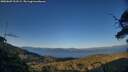 ./images/calvert/fitz-hugh-hecate/20250607/fitz-hugh-hecate20250607_202508M.jpg