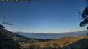 ./images/calvert/fitz-hugh-hecate/20250607/fitz-hugh-hecate20250607_203508M.jpg
