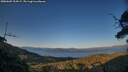 ./images/calvert/fitz-hugh-hecate/20250607/fitz-hugh-hecate20250607_204507M.jpg